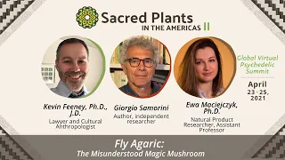 Fly Agaric: The Misunderstood Magic Mushroom | Sacred Plants II