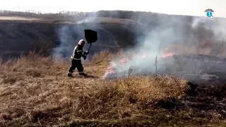 В Курском районе оштрафовали шестерых поджигателей травы