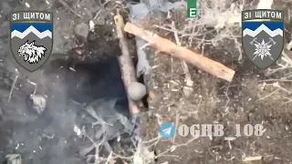 Буде тобі, враже, як Залужний скаже!