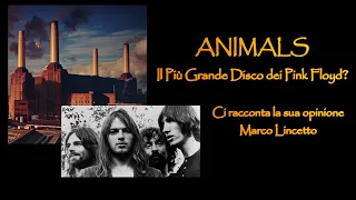 ANIMALS: il più grande disco dei Pink Floyd??? ...ascoltiamo il parere di Marco Lincetto...
