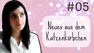 VLOG • Neues aus dem Katzenkörbchen #05 • Studio71 Bootcamp Rekrutin