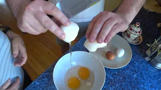 Глазунья из гусиных яиц. Какие яйца вкуснее гусиные или куриные