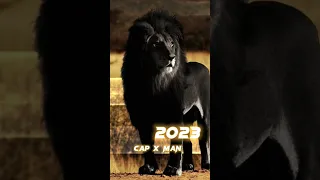 2023 Black Lion And 5000BCE Black Lion #shorts #viral #5000bce