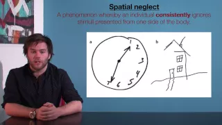 VCE Psychology: Spatial Neglect