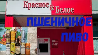 Купил все пшеничное пиво в КрасноеБелое(КБ), выбираю лучшее  Какое пшеничное пиво купить в КБ