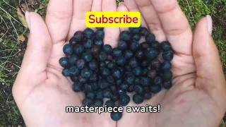 HYDROPONIC SYSTEM - Hydroponic Blueberries Farming At Home! #hydroponicsystem #hydroponicblueberries