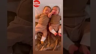 Twins sneeze at the same time  -  twins gonna twin #cutebaby #cutebabymoment #twins #matchingsneeze