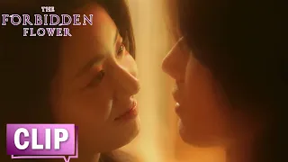 EP22 CLIP 室友暗恋的男神竟然是萧寒，何冉回忆过去心酸落泪【夏花 The Forbidden Flower】