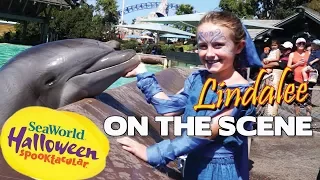 SeaWorld Halloween Spooktacular - Lindalee on the Scene - San Diego - Dolphins - Sesame Street