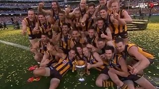 AFL 2014: Grand Final - Hawthorn highlights vs. Sydney