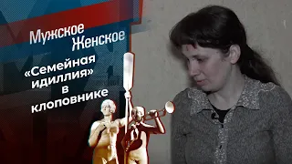 Пьянка на фрилансе. Мужское / Женское. Выпуск от 17.01.2024