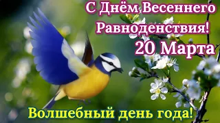 С Днём Весеннего Равноденствия! 20 марта Магический Волшебный День Исполнения Желаний! Счастья  Мира