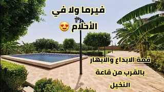 جبنا لكم ارخص فيرمة+فيلا فالمغرب 😱 مسجلة ومحفظة 💯 بمساحة هكتاروربع+اشجارمثمرة منوعة+مسبح+اسطبل*وجدة