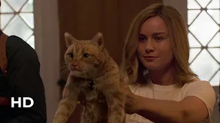 Captain Marvel Cat  - Goose - All Scenes 2019