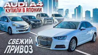 ВСЁ БОЛЬШЕ ЯПОНСКИХ АВТО ЗАЕЗЖАЕТ В РОССИЮ. Покупаем ВСЁ AUDI A4❗️N-WGN❗️PAJERO MINI❗️ESQUIRE