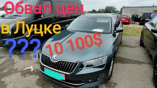 Луцьк Авторинок 05.08.21 Огляд Volkswagen Group!