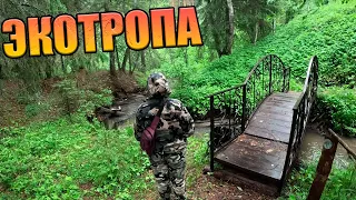 Поездка в Екатериновку. ЭкоТропа. Копаем на берегу ИРТЫША. Minelab EQUINOX 600/XP ORX