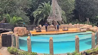 sea lion show at jungle park tenerife