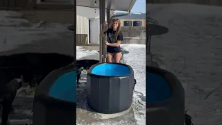 An INSTANT mood boost🩵 #johnnycash #coldplunge #fy #funny #icebath #mood #fyp #shorts #crazy #viral