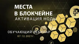 Platincoin. Блокчейн места. Активация НОДЫ.