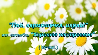 Пой гармошечка, играй!