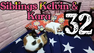 Siblings Kelvin & Kara | VLOG 32