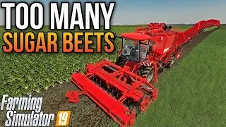 THE MOST SUGAR BEETS I'VE EVER PLANTED! | Dahl Ranch FS19