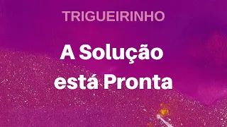 Trigueirinho | A Solução está Pronta