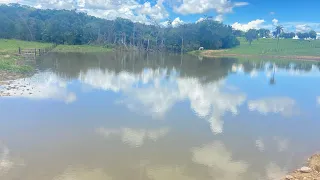 60 hectares rico em água R$ 3.000.000 casa top, curral