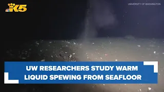 Researchers study warm liquid spewing from seafloor along Cascadia fault