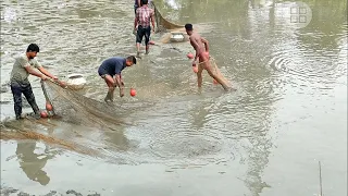 Cast Net Fishing By Village Peoples | Amazing Cast Net Fishing | Net Fishing Video