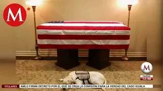 Sully, el perro de George H. W. Bush, se niega a dejar su ataúd