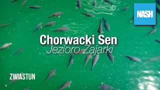 Chorwacki Sen - Jezioro Zajarki - Zwiastun