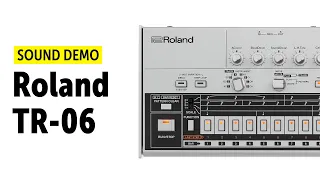 Roland TR-06 Sound Demo (no talking) – Instruments, Parameters & FX-Variations Walkthrough