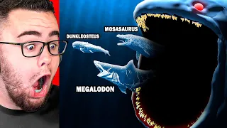 Reacting to BLOOP SEA MONSTER Size Comparison!