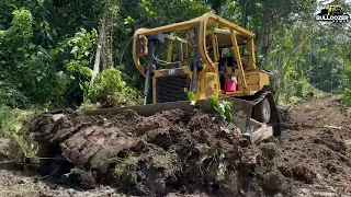 WOW!!! Skill God Cat D6R XL Bulldozer Operator Pushes Large Wooden Roots That Close Road Sections