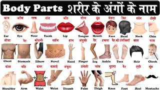 Human Body Parts Name Hindi & English with Pictures and pdf | शरीर के अंग | Name of Body Parts |