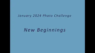 PPF January 2024 Photo Challenge