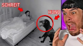 ETWAS IST FALSCH MIT IHREM HUND .. (SO GRUSELIG)