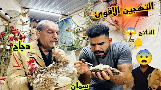 لاول مره في اليتيوب تهجين/ السمان xالدجاج 😱كلام مهم نهايت الفديو