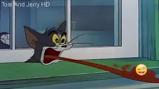 Tom and Jerry The Secret In The Book 📖 Tom Jumped Into The Pile