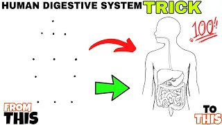 draw with dots trick human digestive system diagram/human digestive system drawing/ digestive system