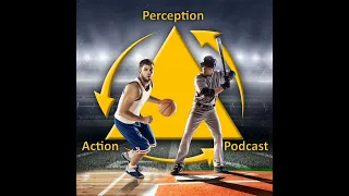 487 – Do the classic motor learning effects (eg focus of attention, choice) apply to experts?