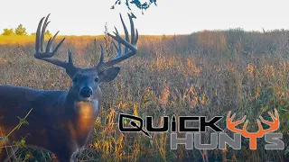 The Kansas 219" Teaser | Quick Hunts 2023