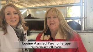 Equine Assisted Psychotherapy-Counseling and Therapy with Horses