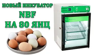 Новый инкубатор NBF 80. Обзор, конструкция, особенности настроек.