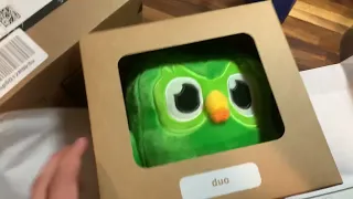 An ape 🦧 recieves a «Duolingo» owl 🦉 as a present 🎁