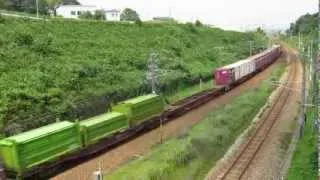 日本海縦貫線を走る貨物列車：4076レ（2013.08.07）