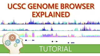 GET STARTED WITH THE UCSC GENOME BROWSER - What you need to know