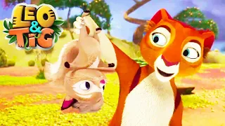 LEO and TIG 🦁 🐯 NEW 🐇 The Wood Rabbit 🐰 Cartoon For Children 💚 Moolt Kids Toons Happy Bear